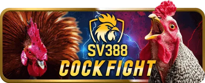 Hình ảnh quản lý tài khoản VIP tận tâm của u888bet casino